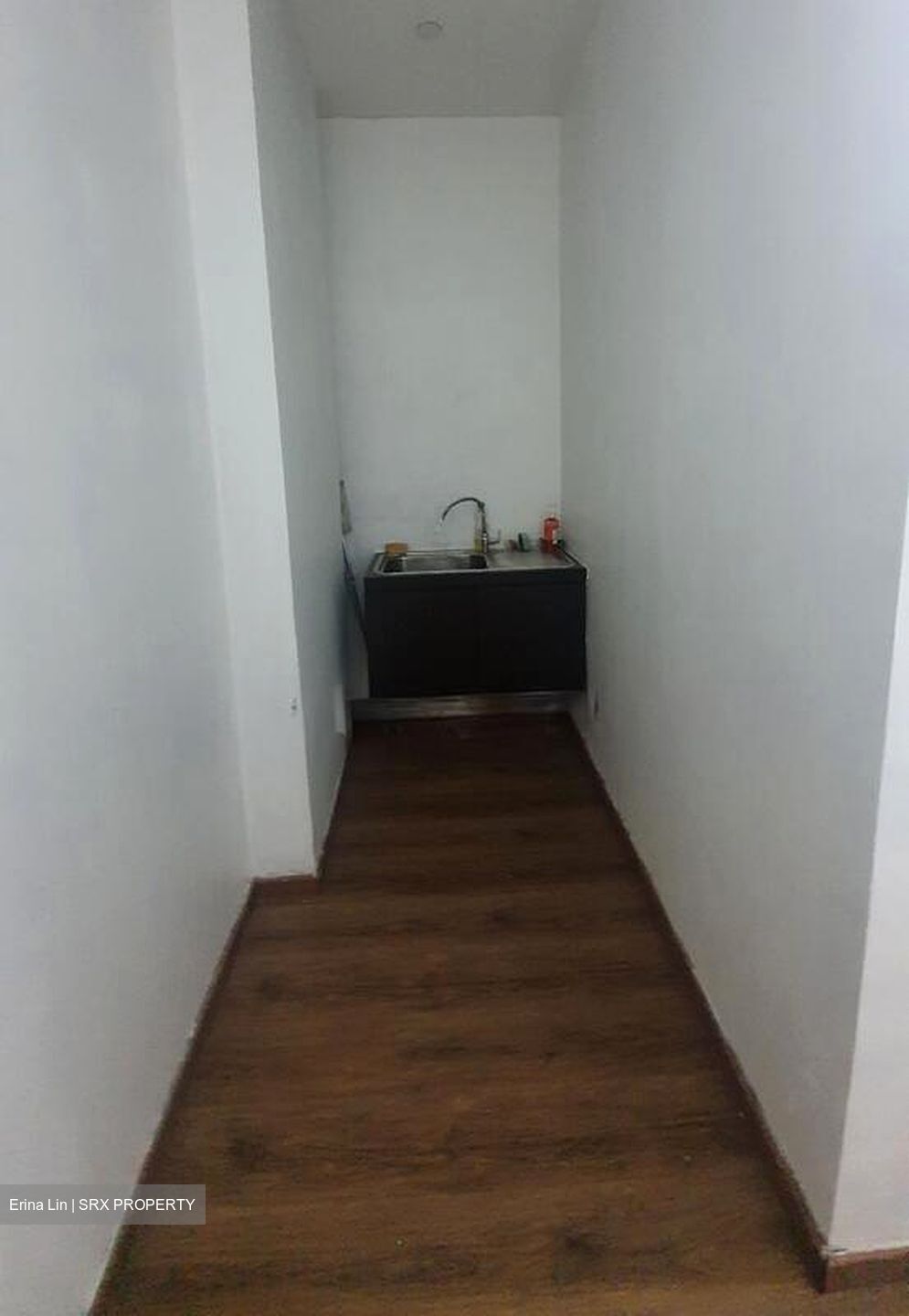 Suites @ Bukit Timah (D21), Shop House #496237421